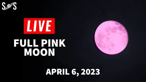april full moon 2023: the pink moon